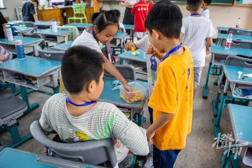 154個小學生的暑期托管首日 走進校外服務，體驗成長與快樂